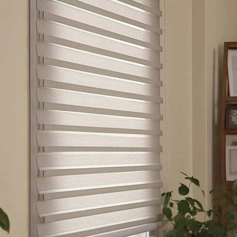 zebra blinds